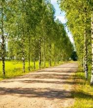 kesä2023
