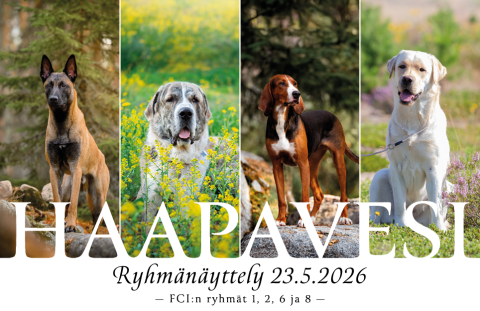 Ryhmänäyttely Haapavesi